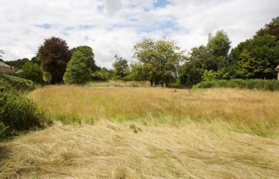 Plot with PP for sale in West Stour photo